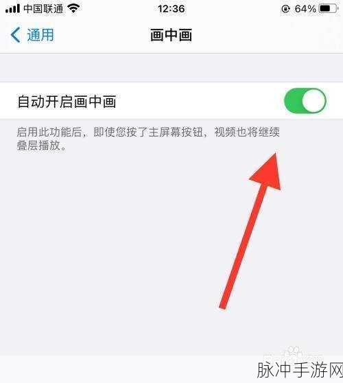 苹果手机画中画功能设置指南,手游玩家的必备攻略