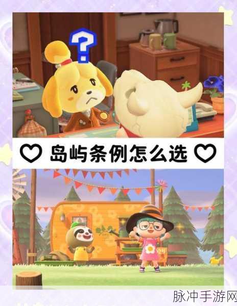 集合啦动物森友会,初期玩法要点深度解析与介绍