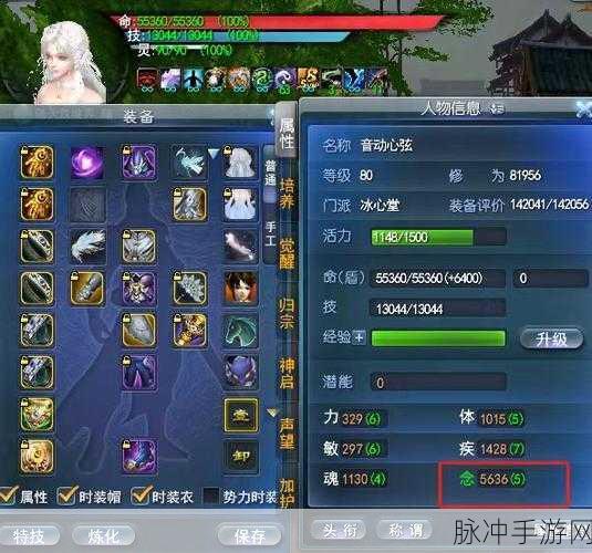天下3冰心全方位解析，装备选择要点大揭秘
