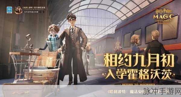 哈利波特手游深度攻略,皮皮鬼揭秘图书馆外的狼人秘密