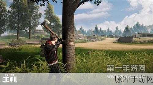 代号生机交易指南,玩家交易方法全面分享