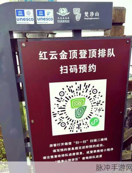摩尔庄园手游红色浆果刷新位置大揭秘，全面攻略助你轻松找到所有刷新点