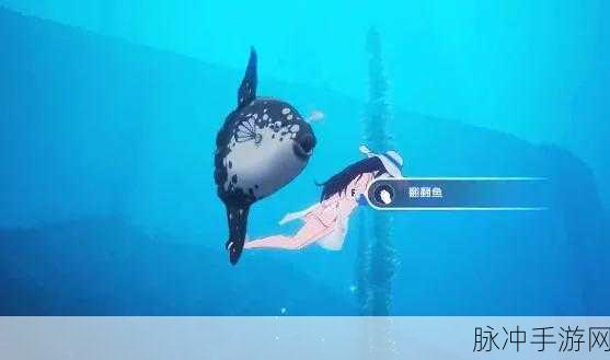 幻塔手游攻略,解锁海洋型监视守卫的奥秘