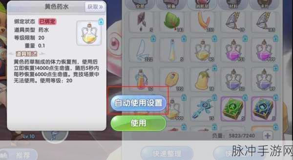 仙境传说RO，停机维护及重要更新全面解析