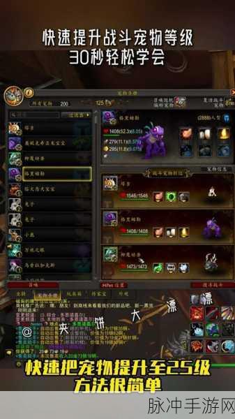魔兽世界探险指南,如何前往塔纳利斯并解锁新区域