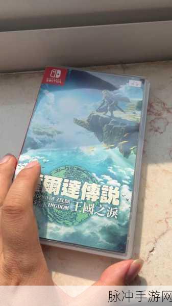塞尔达传说王国之泪,高性价比游戏卡带价格全解析