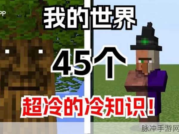 我的世界女巫角色深度解析，作用与攻略指南