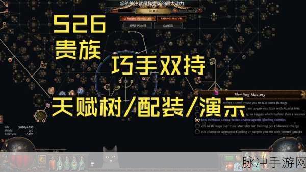 流放之路手游，轻松掌握装备查找与搭配技巧全攻略