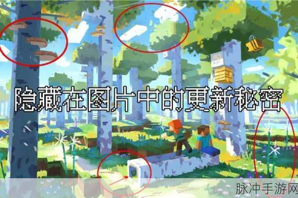 我的世界手游深度探索,揭秘桦木森林群系的奇妙之旅