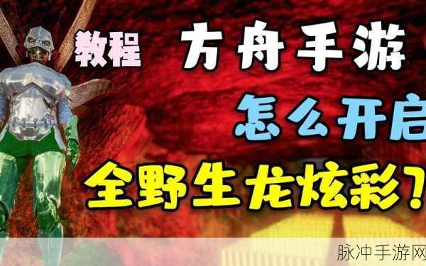 方舟手游攻略,如何开启并运营礼盒服务器