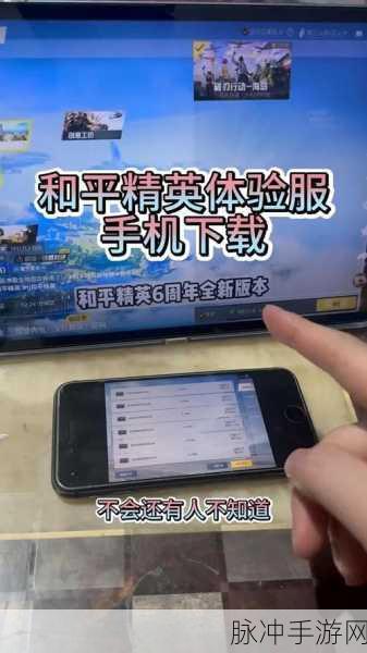 和平精英测试服资格申请全面指南,解锁新版本先机