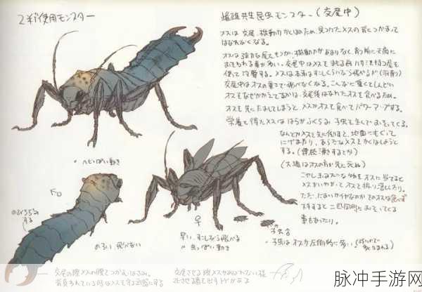 怪物猎人4深度揭秘,彻甲虫的羽获取与运用全攻略