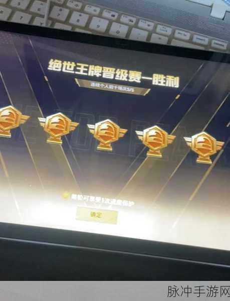 和平精英手游攻略，全面解析如何隐藏历史战绩
