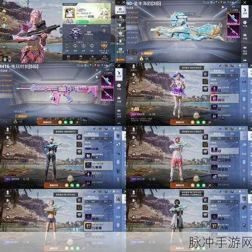 和平精英手游攻略,全面解析如何隐藏历史战绩