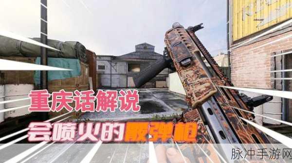 使命召唤16枪械选择搭配深度攻略