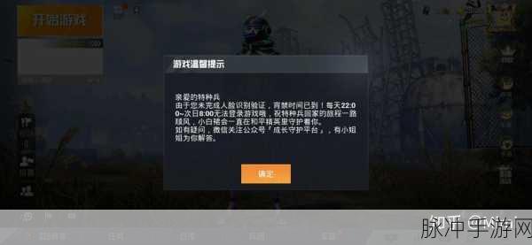 和平精英未付款成功的订单查询指南，手游公司视角的详细攻略