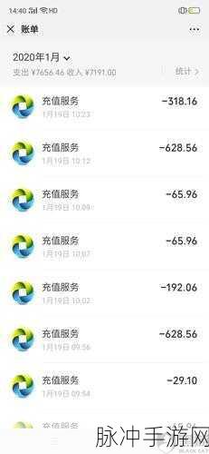 和平精英未付款成功的订单查询指南,手游公司视角的详细攻略