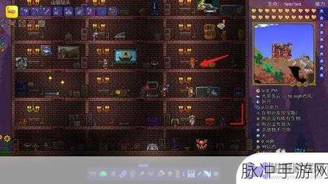 泰拉瑞亚游戏深度攻略，机械尺子获取、作用及资源管理技巧
