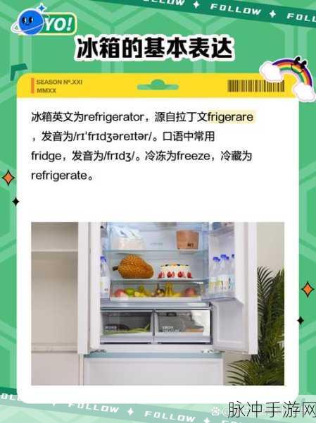 把冰箱装满Fill The Fridge,打造你的收纳艺术之旅