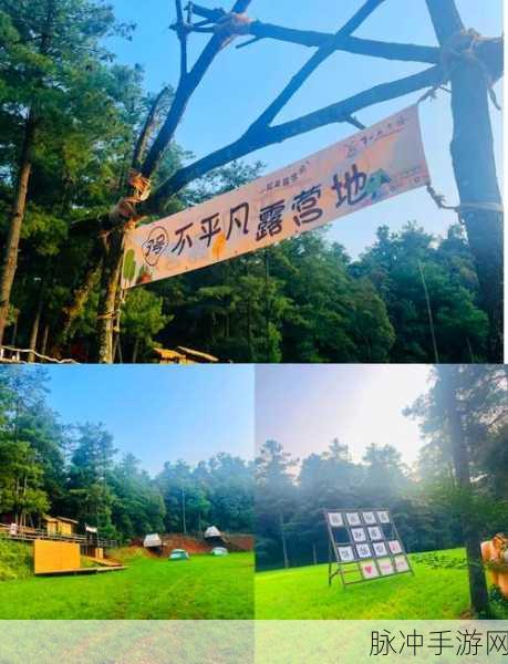 探索游戏世界奇遇记，寻找魔法熊二的神秘踪迹