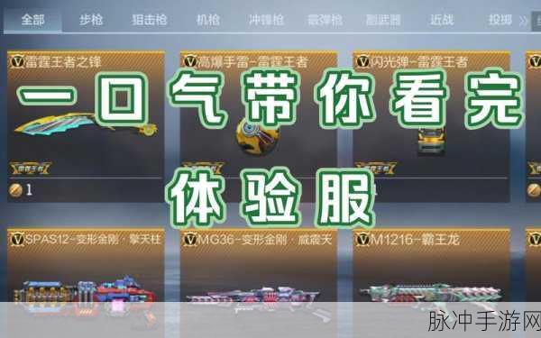 穿越火线手游深度攻略,如何玩转体验服