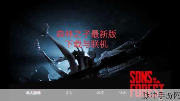 森林之子多人联机深度攻略,携手探索未知绿野