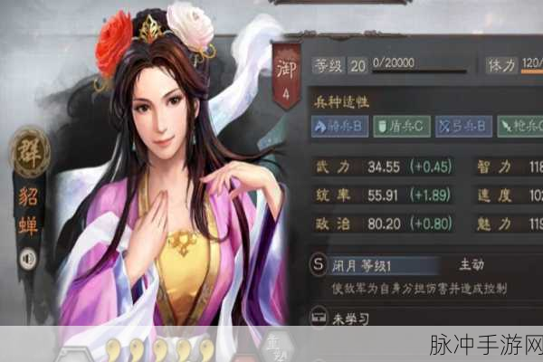三国志战略版貂蝉搭配全攻略,解锁最强控制武将的无限可能
