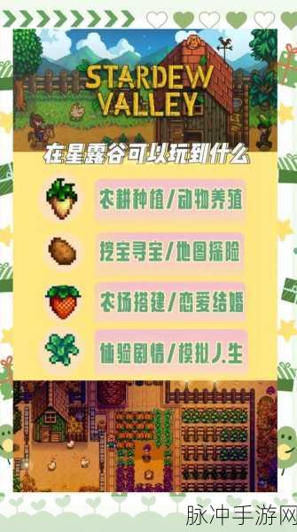 星露谷物语，深入探索史莱姆农场的奇妙用途