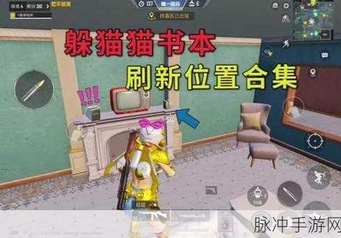 和平精英躲猫猫书本攻略，最佳躲藏位置大揭秘，助你轻松藏匿成精英