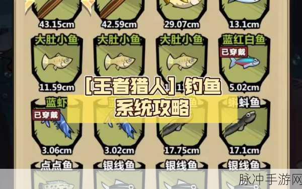 王者猎人全面解析,掌握快速升级技巧,助你轻松登顶成为顶尖猎人秘籍