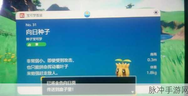 泰拉瑞亚十字盾材料全攻略,高效刷取地点与技巧
