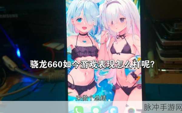 骁龙660能否畅玩原神？手游攻略深度解析