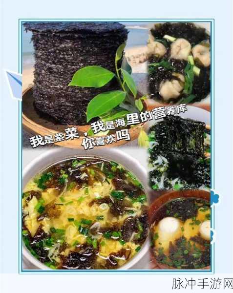 幻塔手游美食攻略,紫菜蛋汤的完美制作方法