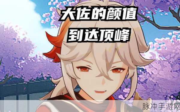 原神角色深度解析,探索神秘力量的雷神大佐