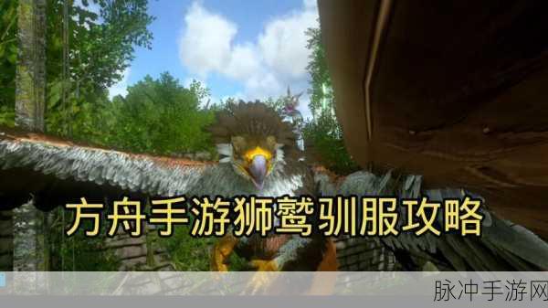 方舟手游最新驯养攻略,狮鹫高效饲料选择与驯养技巧