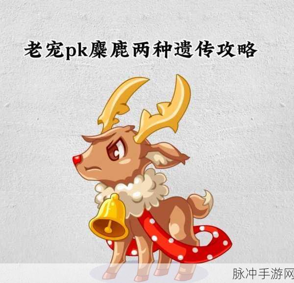 洛克王国，大地组遗传技能深度解析与实战指南