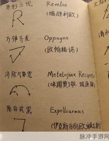 哈利波特魔法觉醒,深度揭秘夺取对手魔杖的咒语艺术