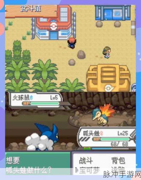 口袋妖怪光之土,踏上一场探索未知的冒险之旅全攻略