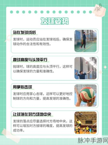 巅峰排球,尽享可玩性十足的排球竞技游戏攻略指南