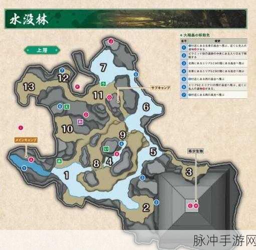 怪物猎人崛起，森林营地深度攻略与宝藏揭秘