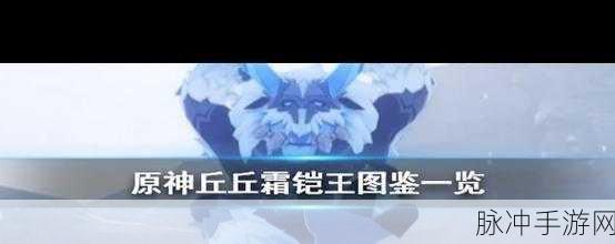 原神丘丘霜铠王攻略，战斗策略与技巧深度解析