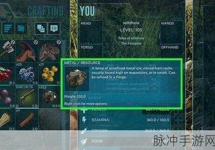 方舟,生存进化手游深度攻略——锭锭制作全解析