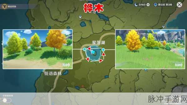 原神桦木采集攻略,探寻桦木最多的宝藏之地