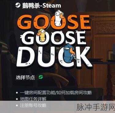 鹅鸭杀手游攻略,详解加速器必要性及游戏体验优化
