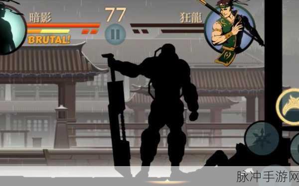 暗影格斗2泰坦解锁条件全攻略,解锁终极挑战的步骤与要求