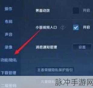 王者荣耀，掌握隐身技巧，享受私密游戏时光