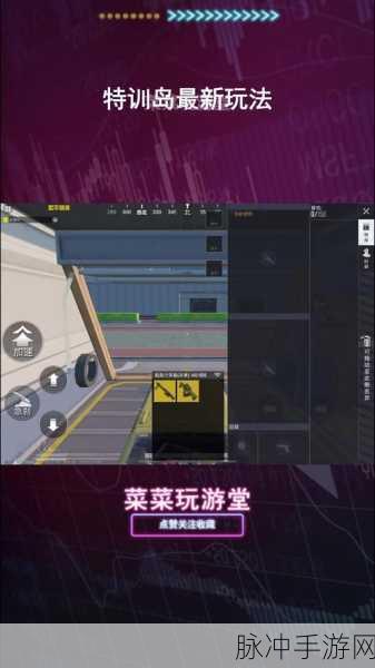和平精英特训岛单挑全攻略，解锁你的战斗潜能