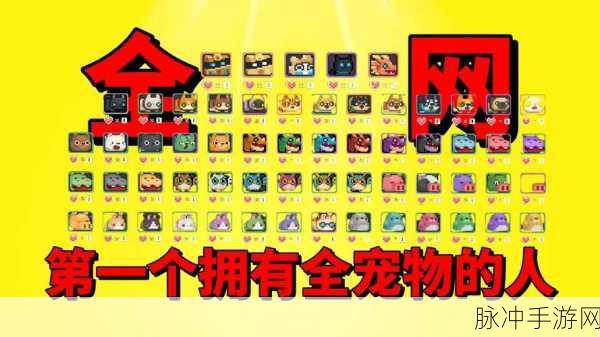 元气骑士前传,宠物亲密度的提升秘术全攻略详解