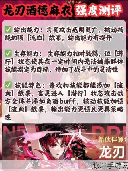 龙族装备完美搭配指南，探索最大伤害输出策略揭秘