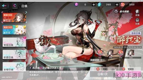 猫之城深度剖析，盾牌技能特性及实战应用全面攻略